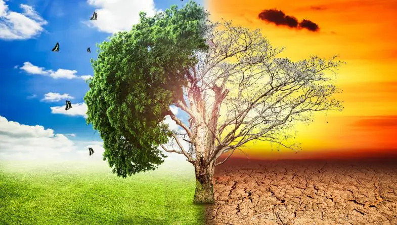 Global Warming Reshapes the World’s Mountain Ranges Global Warming Reshapes the World’s Mountain Ranges